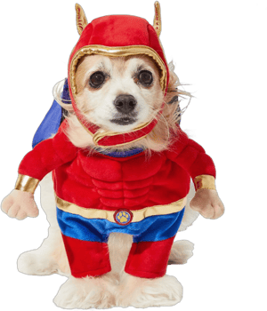 Frisco Front Walking Superhero Dog & Cat Costume