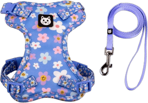 Kitty City Blue Smile Floral Harness and Leash Set