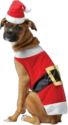 Pet Costume Santa