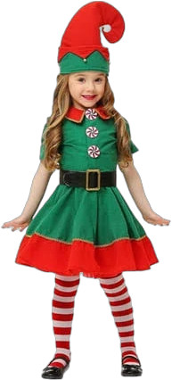 Boy's Elf Costume