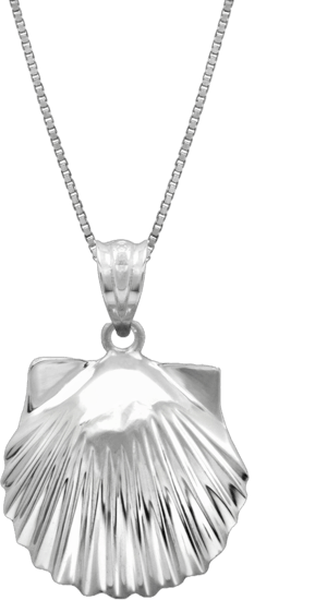 Sterling Silver High Polished Seashell Pendant Necklace with 18" Box Chain