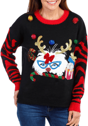 33 Degrees Women's Festive Cat Holiday Sweater