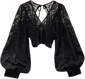 Cottagecore Lace Long Sleeve Blouse