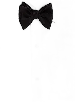 Molly Rodgers Men's Pre-Tied Satin Bowtie