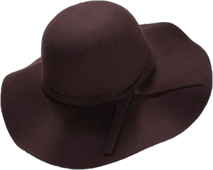 Vintage Wide Brim Wool Felt Hat