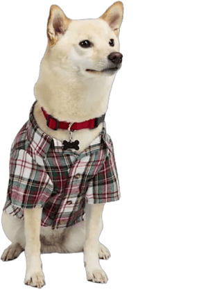 Merry Makings Plaid Woven Top for Pets