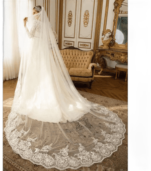 JJ's House Cathedral Length Lace Edge Tulle Bridal Veil