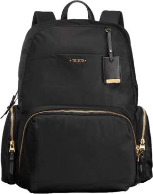 Tumi Voyageur Calais Backpack