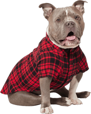 Frisco Red Plaid Dog & Cat Shirt