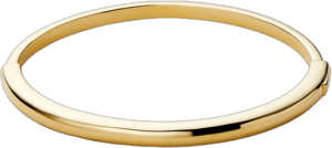 Ana Luisa Brynley Gold Bangle Bracelet