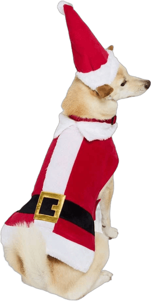 Merry Makings Santa Suit for Dogs