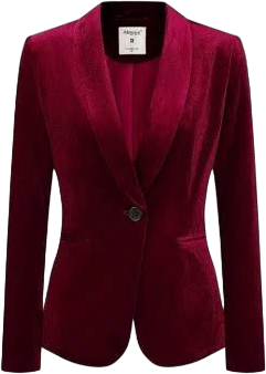 Women's Allegra K Halloween Christmas Office Coat Solid Shawl Collar 1 Button Velvet Blazer