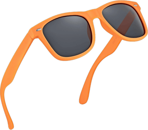 Retro Rewind Polarized Sunglasses