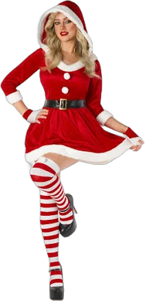 Women's Santa Costume