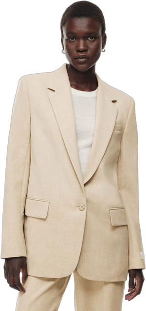 Aritzia Wilfred Women's Generation Blazer