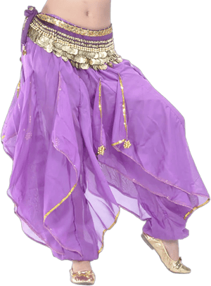 Bellylady Belly Dance Harem Pants Tribal Baggy Arabic Halloween Pants