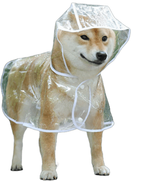 leasote Pet Raincoat