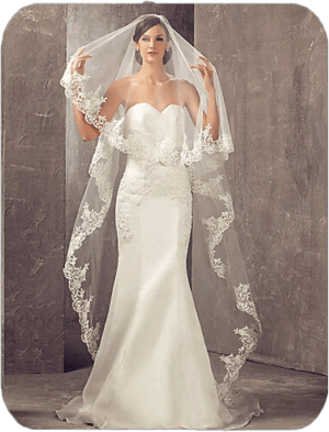 Unsutuo Cathedral Long Tulle Bridal Veil with Lace Applique