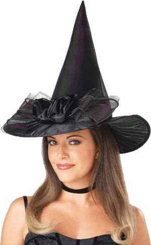 Women's Iridescent Witch Hat