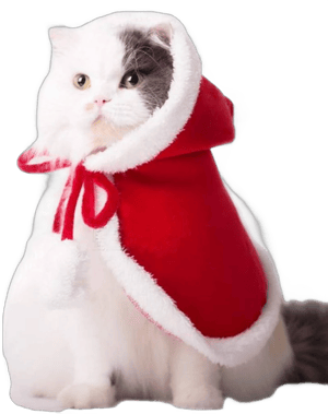 ANIAC Pet Christmas Costume Poncho Cape with Hat Santa Claus Cloak for Cats and