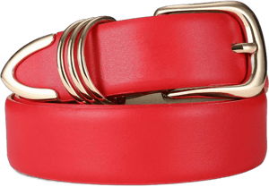 RISANTRY Women's Elegant Leather Belt with Gold Buckle