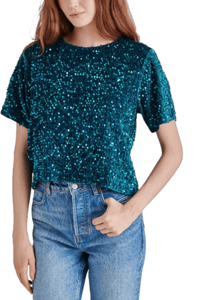 Steve Madden Cressa Sequin Velvet Top