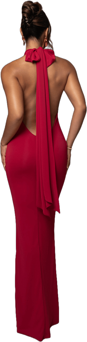 JLUXLABEL Premium Spandex Evening Maxi Gown