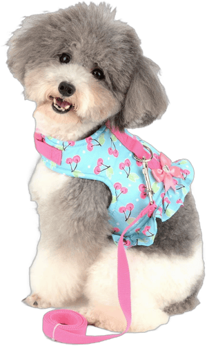 Pink Bow Dots Print Cat Harness Dress