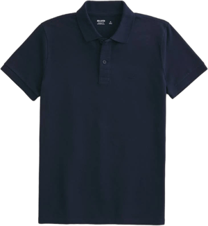 Hollister Men's Icon Polo