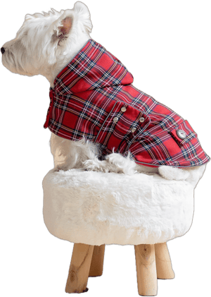 Royal STEWART Dog COAT with Hood | Scottish Dog Coat | Westie Jacket | Dog Winter Coat | British Westie Vest | Winter Dog Coat | Plaid Hood