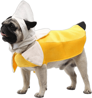 Banana Dog Costume Funny Halloween Dog Costume Cute Dog Cosplay Jumpsuit Fashion Dress for Puppy