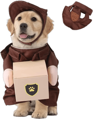 DUUCLUME:Embrace Pet Life Duuclume Mailman Dog Costume, Funny Delivery Guy Clothes with Cap for Kitten and Puppy for Halloween Christmas S