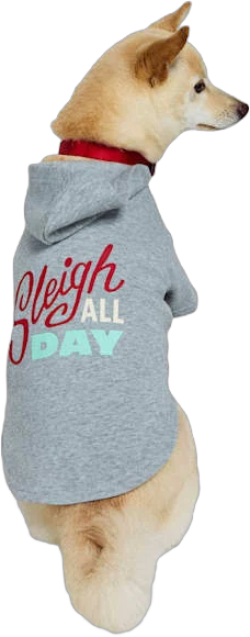 Merry Makings Sleigh All Day Hoodie