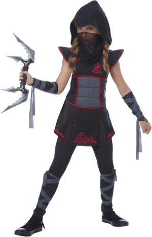 Fearless Ninja Warrior Halloween Costume for Girls