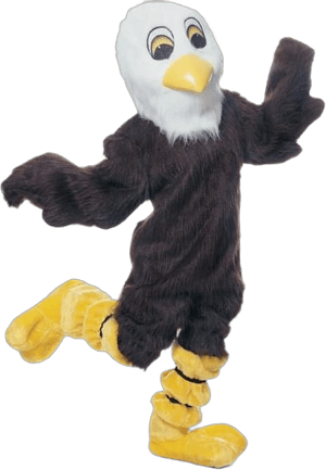 Anderson's Eagle Mascot Costume