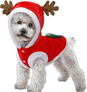 Merry Christmas Dog Knitted Outfit With Hood - Red With Reindeer Antlers And Green Christmas Tree Decoration For Winter Weather