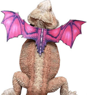 Bearded Dragon Harness, Cool Lizard Harness with Leather Tyrannosaurus Wings for Geckos Bearded Dragons Chameleons Iguanas red