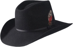 Bold Wool Felt Hat with Rouge Crown and Feather Accent