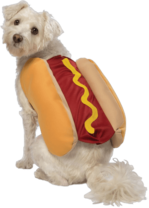 Hot Dog Dog Costume