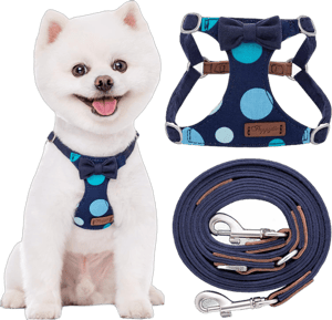 Puppytie No Pull xs Dog Harness with Multifunction Dog Leash,Soft Adjustable No Choke Escape Proof Pet Harness Vest,Polka dots Starry Sky,XS Polka Dots-Blue XS(4.5-11lb）