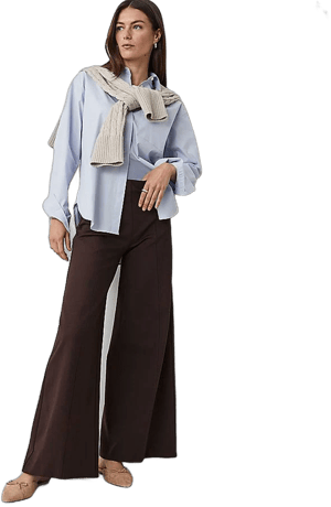 Ann Taylor Women's Ultimate Wide-Leg Pants