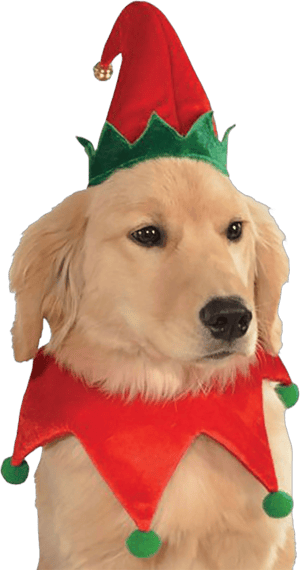 Rubie's Christmas Pet Costume Small to Medium