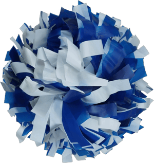 Danzcue 6 Inches Plastic Cheerleading Pom Handle