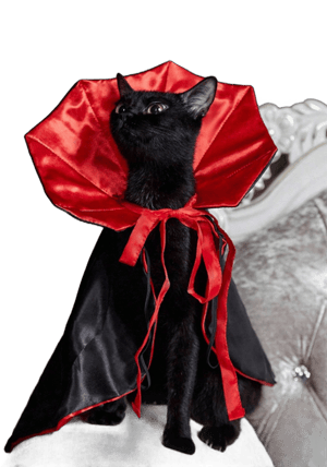 Cat Cloak Costume, Pet Vampire Cape Cosplay Outfit, Demon Wizard Party Clothes For Small/Medium Dogs & Cats, Pet Holiday Dress Up Autumn/Winter