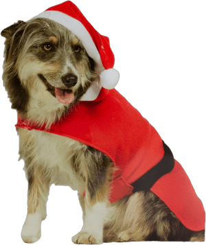 Northlight 32" Santa Claus Dog Costume With a Hat - Size: M