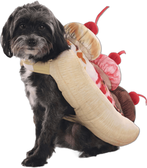 Banana Split Pet Costume | Cat & Dog Pet Costumes | Adult | Unisex | Brown/Pink | One-Size | FUN Costumes