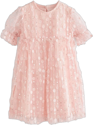 Sequin Mesh Flower Party Dress