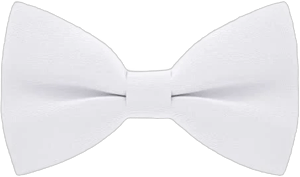 Bow Tie House Men's Pre-Tied Bow Ties