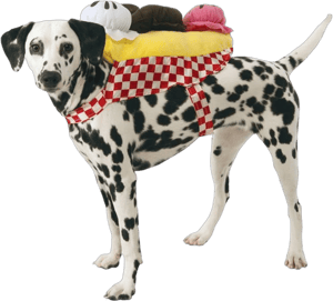 Dog Halloween Costumes Banana Split Ice Cream Sundae