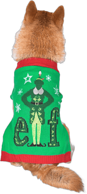 Elf Holiday Dog Sweater